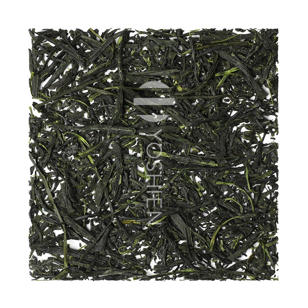 gyokuro hoshino