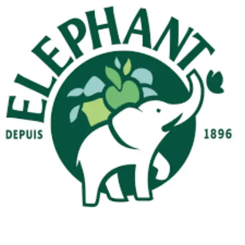 logo elephant infusion