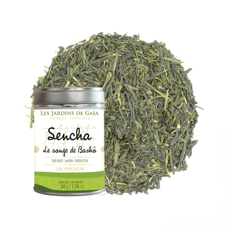 sencha songe de bacho